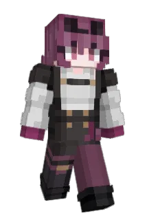 regideria Minecraft avatar full body