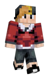 reginerd Minecraft avatar full body