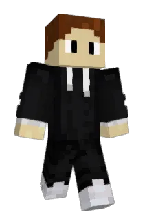 regnideval Minecraft avatar full body