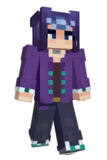 regxnald Minecraft avatar full body