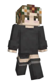 rehabilitatsioon Minecraft avatar full body
