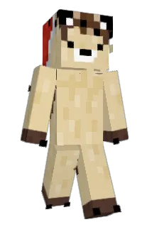 reiddo Minecraft avatar full body