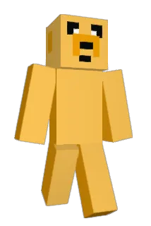 reidenbaugh11 Minecraft avatar full body