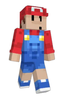 reigee Minecraft avatar full body