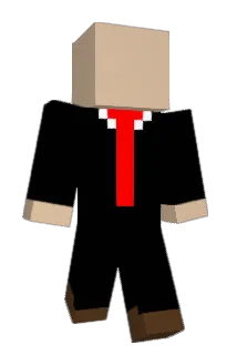 reimerp Minecraft avatar full body