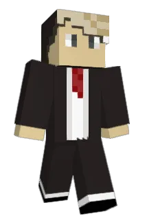 reinintrus Minecraft avatar full body
