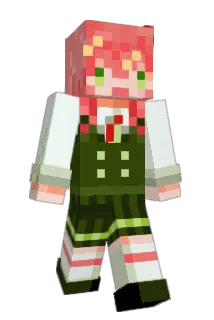 reirus Minecraft avatar full body