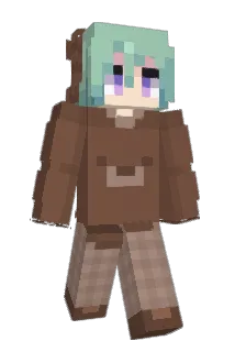 reislays Minecraft avatar full body