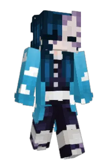rejett Minecraft avatar full body