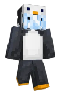 rejns Minecraft avatar full body
