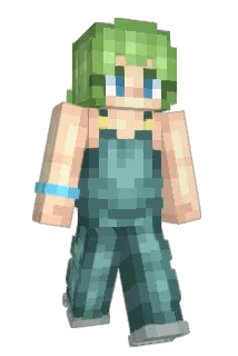 remark0able Minecraft avatar full body