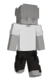 remend Minecraft avatar full body