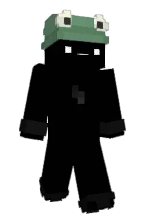 remiko31 Minecraft avatar full body