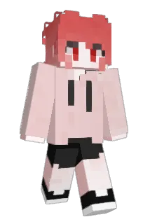renee113 Minecraft avatar full body