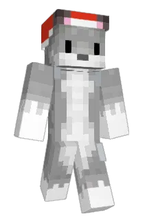 rennyy Minecraft avatar full body