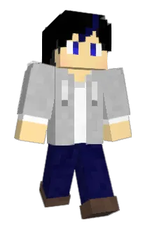 renu_999 Minecraft avatar full body