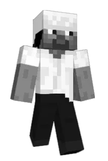 renxei Minecraft avatar full body