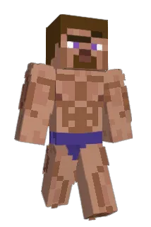 rerasmus Minecraft avatar full body