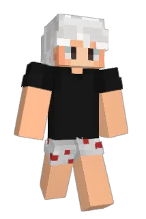 resgatadinho Minecraft avatar full body