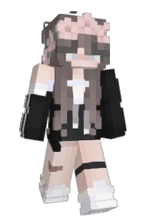revol96 Minecraft avatar full body