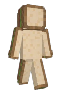 rewind123 Minecraft avatar full body