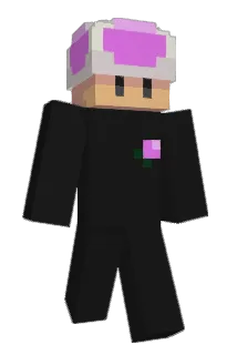 rezzoh_ Minecraft avatar full body