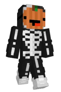 rflaherty Minecraft avatar full body