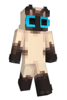 rgpv Minecraft avatar full body