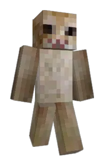 ri_chie42069 Minecraft avatar full body