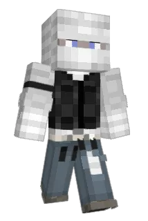 ric211 Minecraft avatar full body
