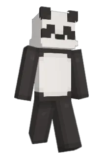 ricebignice Minecraft avatar full body