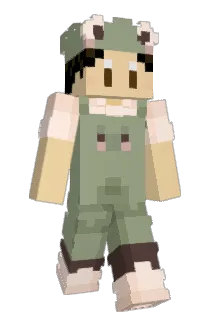 ricepatch Minecraft avatar full body
