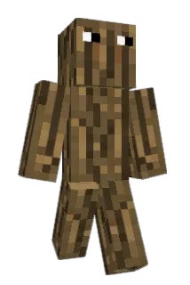 richarbb1 Minecraft avatar full body