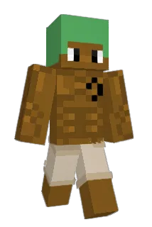 ricot4 Minecraft avatar full body