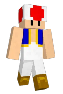 rienkw Minecraft avatar full body
