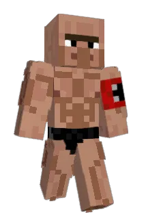 riesepies Minecraft avatar full body