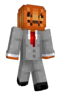 riflo99 Minecraft avatar full body