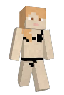riggen74 Minecraft avatar full body