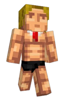 rikipiqi Minecraft avatar full body