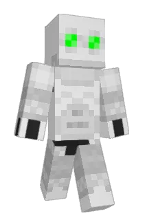riklayer Minecraft avatar full body