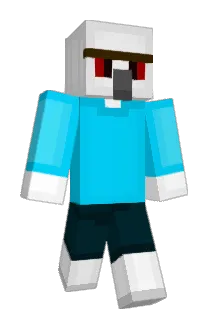 rimrfv Minecraft avatar full body