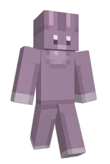 rin_cha Minecraft avatar full body