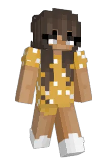rinctr Minecraft avatar full body