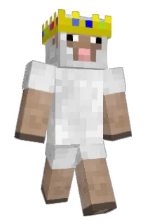 ring0o0 Minecraft avatar full body