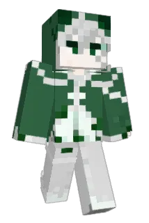 ringbell_9 Minecraft avatar full body