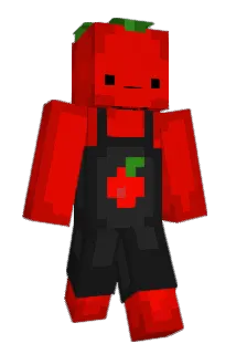 ringo566 Minecraft avatar full body