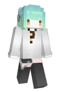 rintwo02 Minecraft avatar full body