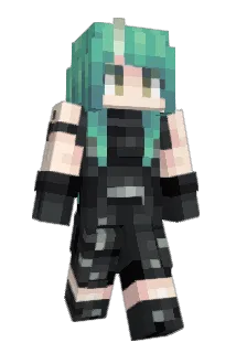 ripmnljn Minecraft avatar full body