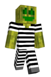 riq5 Minecraft avatar full body