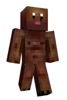 rise21 Minecraft avatar full body